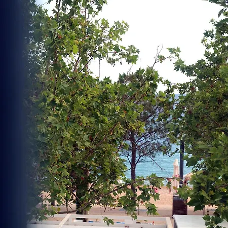 Mema Himare